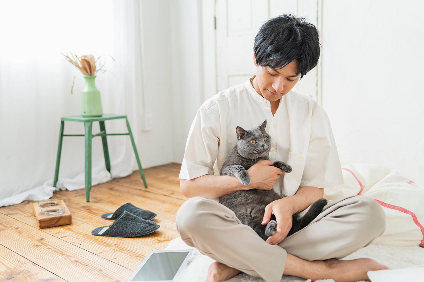 One man working remotely and a cat.